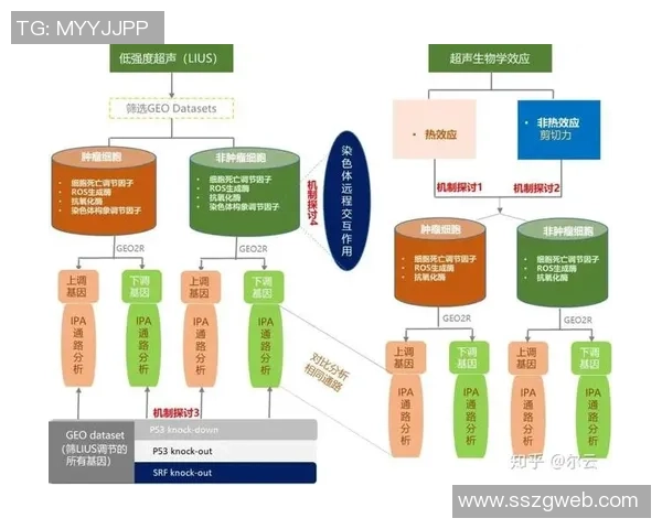 赛后分析:成都篮球队与武汉篮球队球员个人能力对比探讨 赛后分析:成都篮球队与武汉篮球队球员个人能力对比探讨