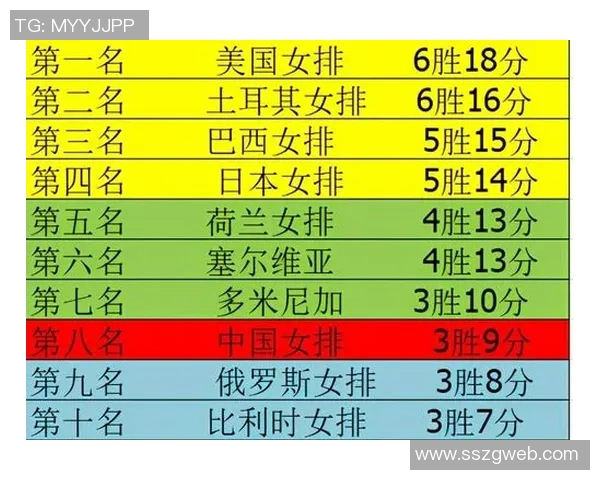 重庆排球队在世界杯预选赛中的团队协作表现分析与点评