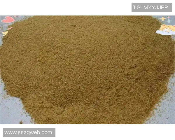 陈强独家分享排球心得与技巧助你提升球技的全面指南 陈强独家分享排球心得与技巧助你提升球技的全面指南