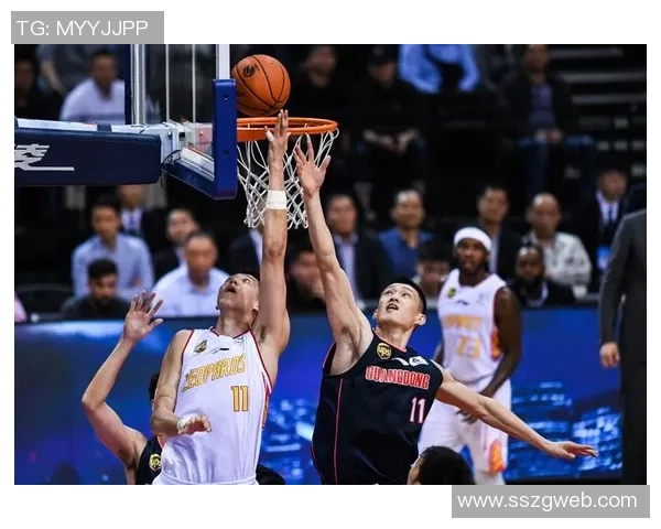 深圳篮球队技术争议引发热议球迷与专家各执己见探讨战术与裁判判罚